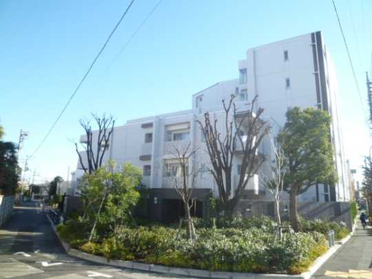 Local appearance photo. Appearance (1)