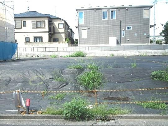 Local land photo. Local Photos