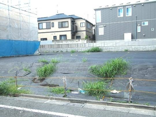 Local land photo. Local Photos