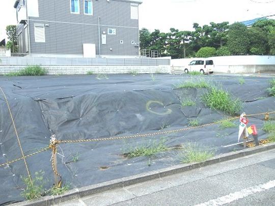 Local land photo. Local Photos