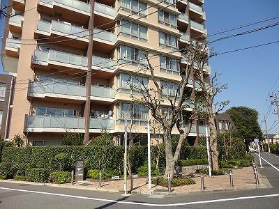 Local appearance photo. appearance