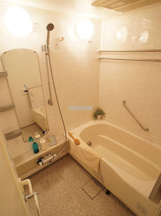 Bathroom. Bathroom Dryer, With reheating function