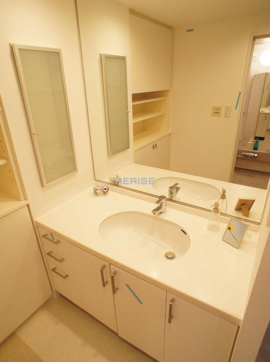 Wash basin, toilet. Bathroom vanity