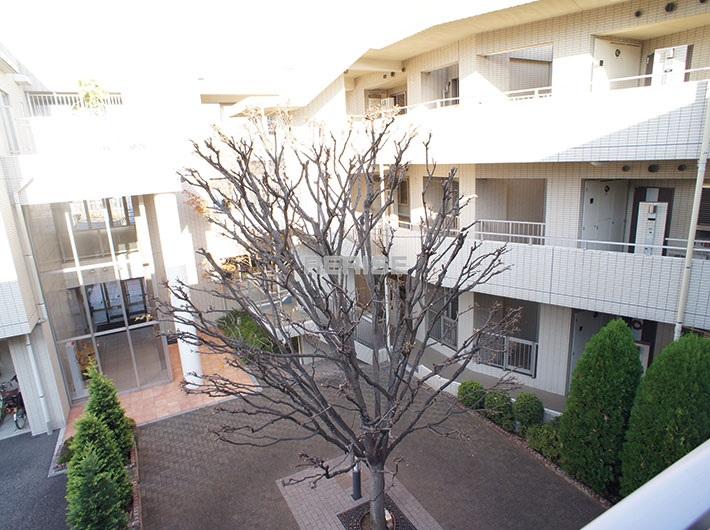 Local appearance photo. Is the appearance from the shared hallway