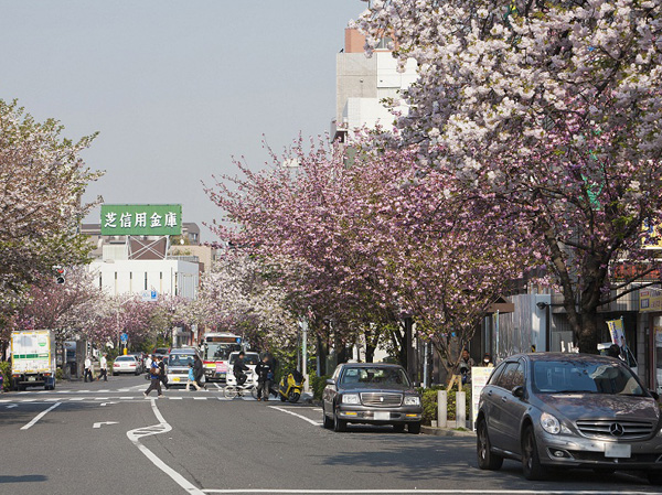 Surrounding environment. Sakurashinmachi Station (about 870m, 11-minute walk)