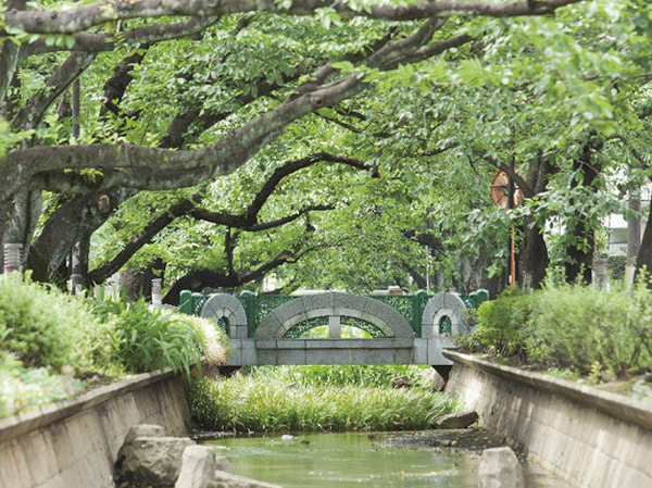 Surrounding environment. 呑川 green road (about 1460m, 19 minutes walk)