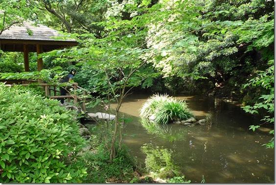 park. It is ideal for a vast natural spread stroll in Denenchofu Denenchofu babble park adjacent to the 750m Toyoko Tamagawa Station to babble park.  