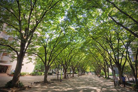 park. 668m until the horse events public garden