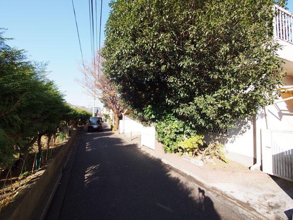 Local photos, including front road. Frontal road