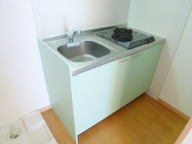 Kitchen. 2-neck Gasukitchin