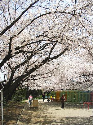 park. Tamagawa second park