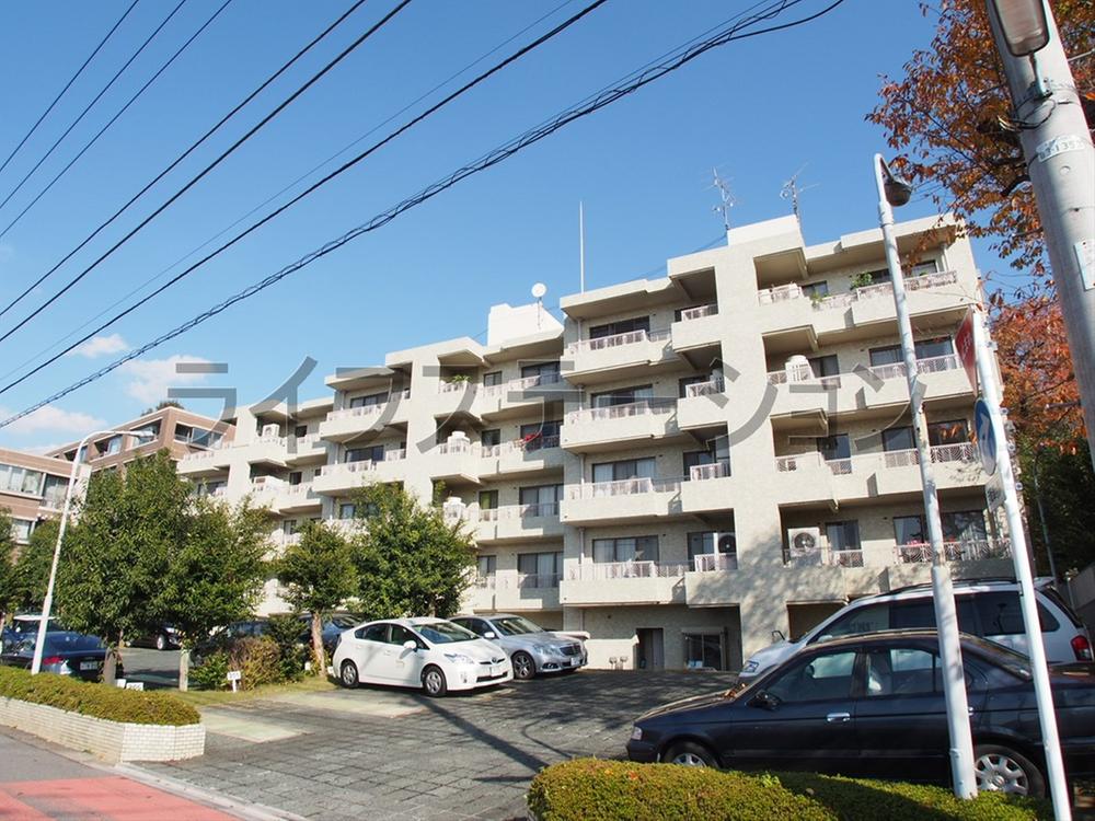 Local appearance photo. Local (November 28, 2013) Shooting