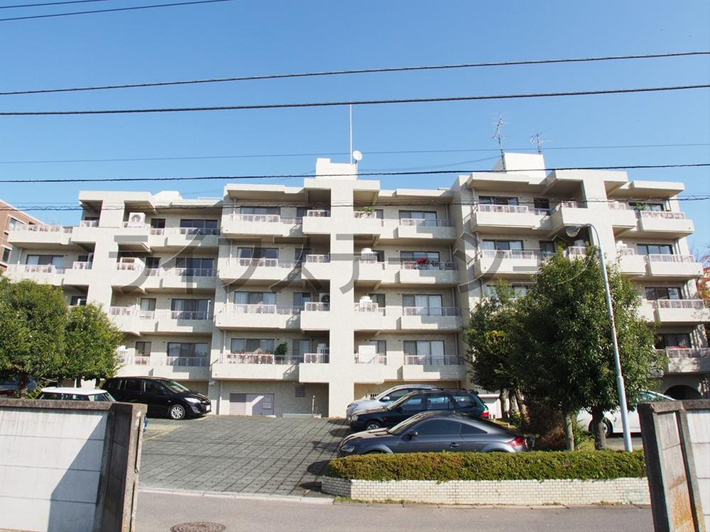 Other local. Local (November 28, 2013) Shooting