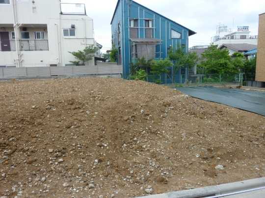 Local land photo. Appearance (1)