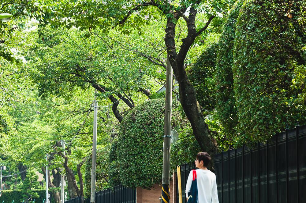 Other Environmental Photo. 970m to Nihon University department of literature and science Namiki