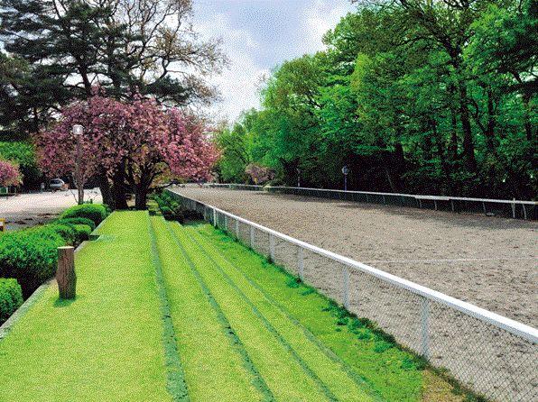 Other local. Surrounding environment