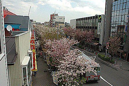 Other local. Surrounding environment