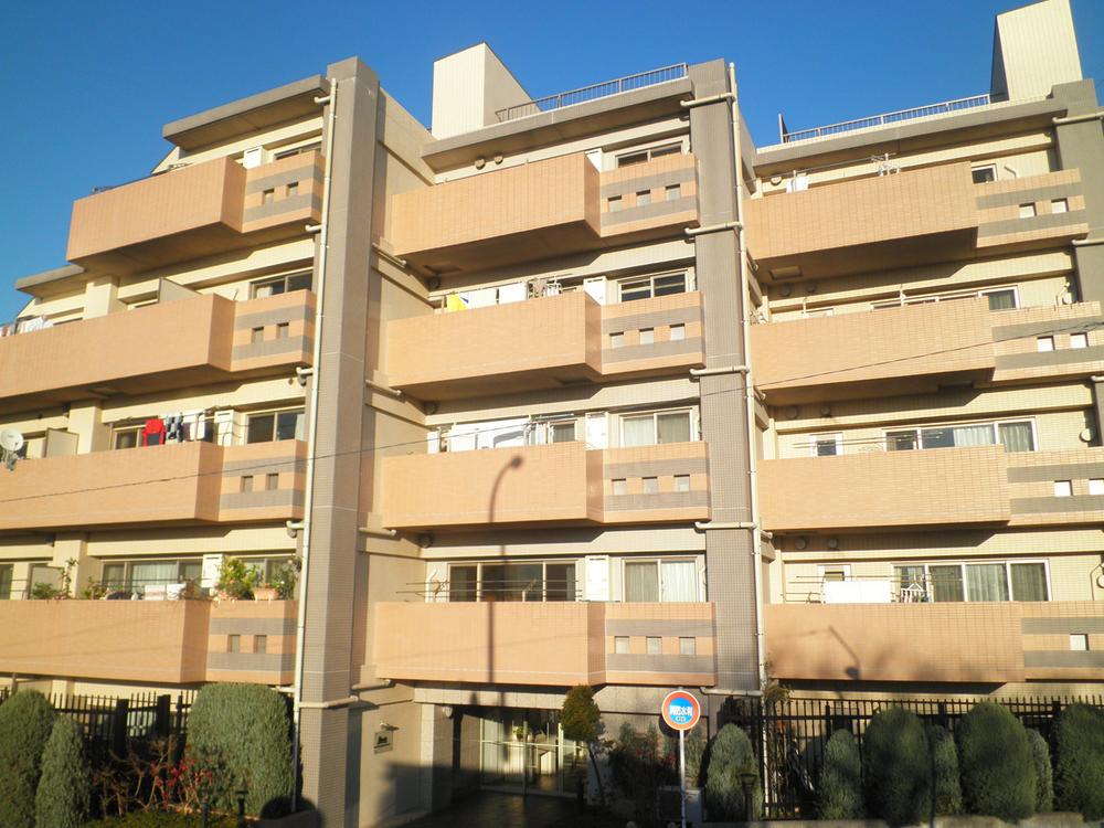 Local appearance photo. Local (12 May 2013) Shooting