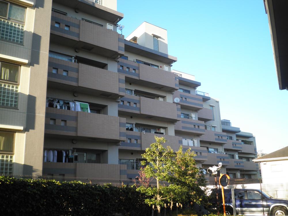 Local appearance photo. Local (12 May 2013) Shooting