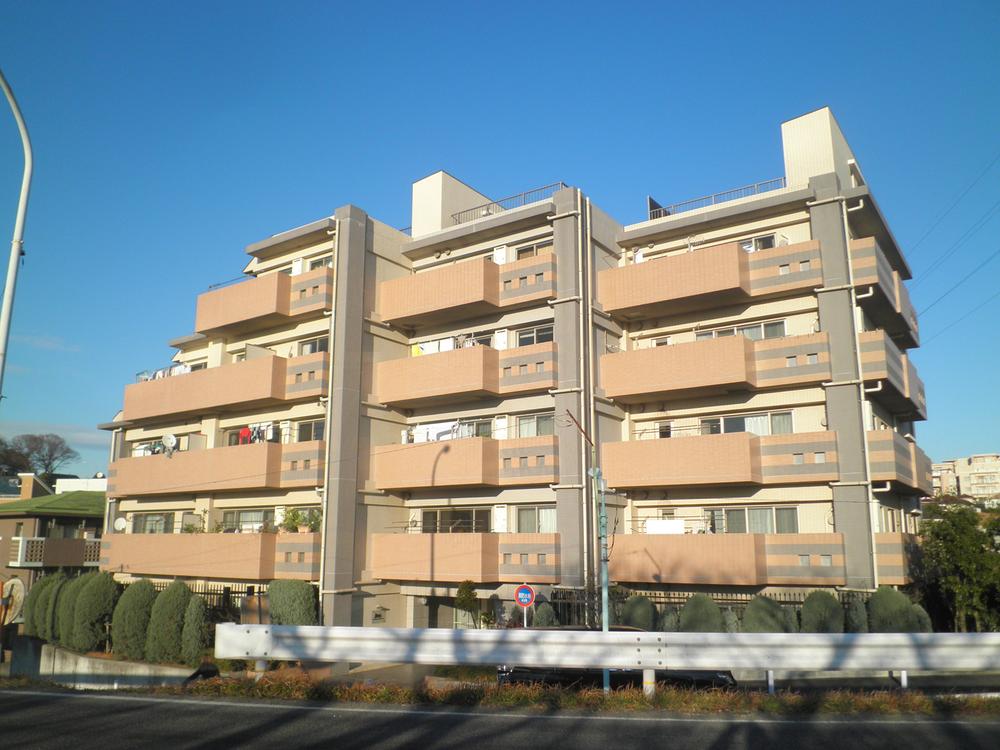 Local appearance photo. Local (12 May 2013) Shooting