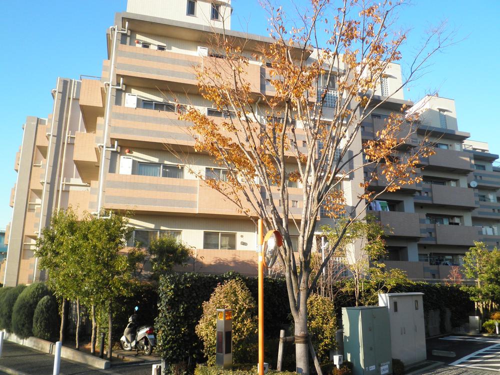 Local appearance photo. Local (12 May 2013) Shooting