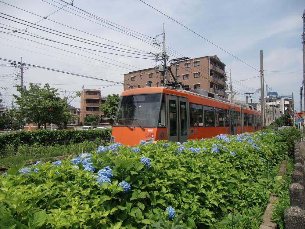 Other Environmental Photo. Season of 300m hydrangea to Setagaya