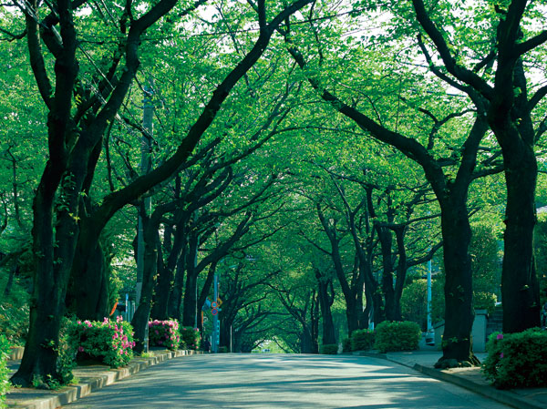 Surrounding environment. Nakamachi 5-chome skyline (a 9-minute walk ・ About 650m)