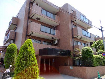 Entrance. Common areas