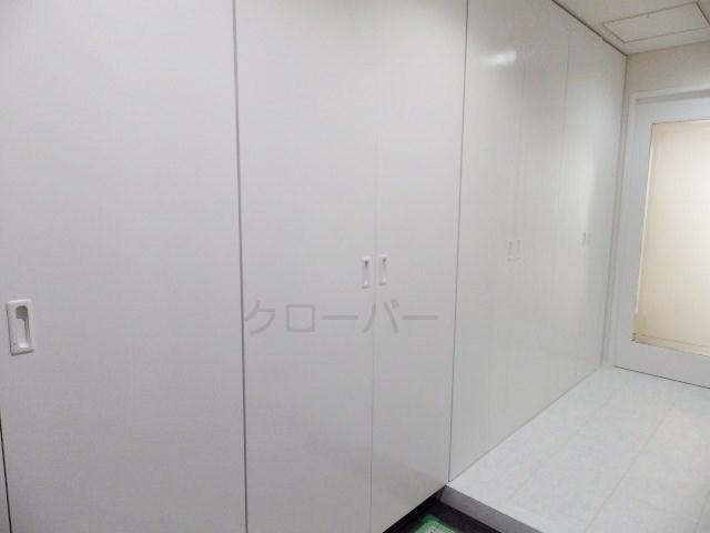 Entrance. Footwear purse