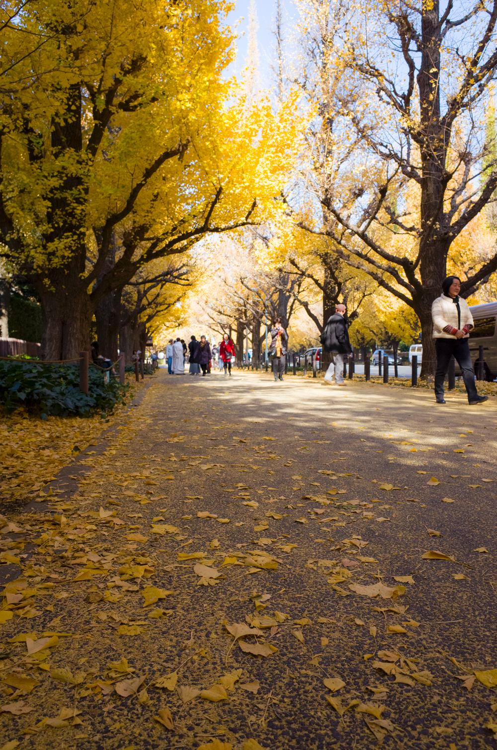 Other. Until the Meiji Jingu Outer Gardens 200m (2 minutes)