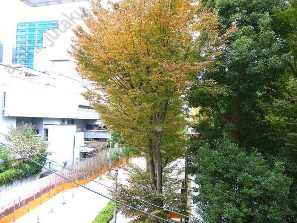 View photos from the dwelling unit