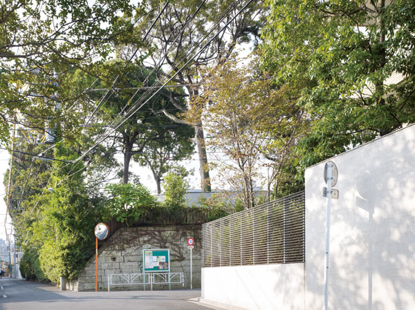 Surrounding environment. Planning areas around the rooftops (about 210m)