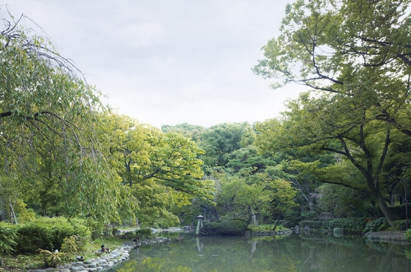 Palace Arisugawa Memorial Park / About 1120m