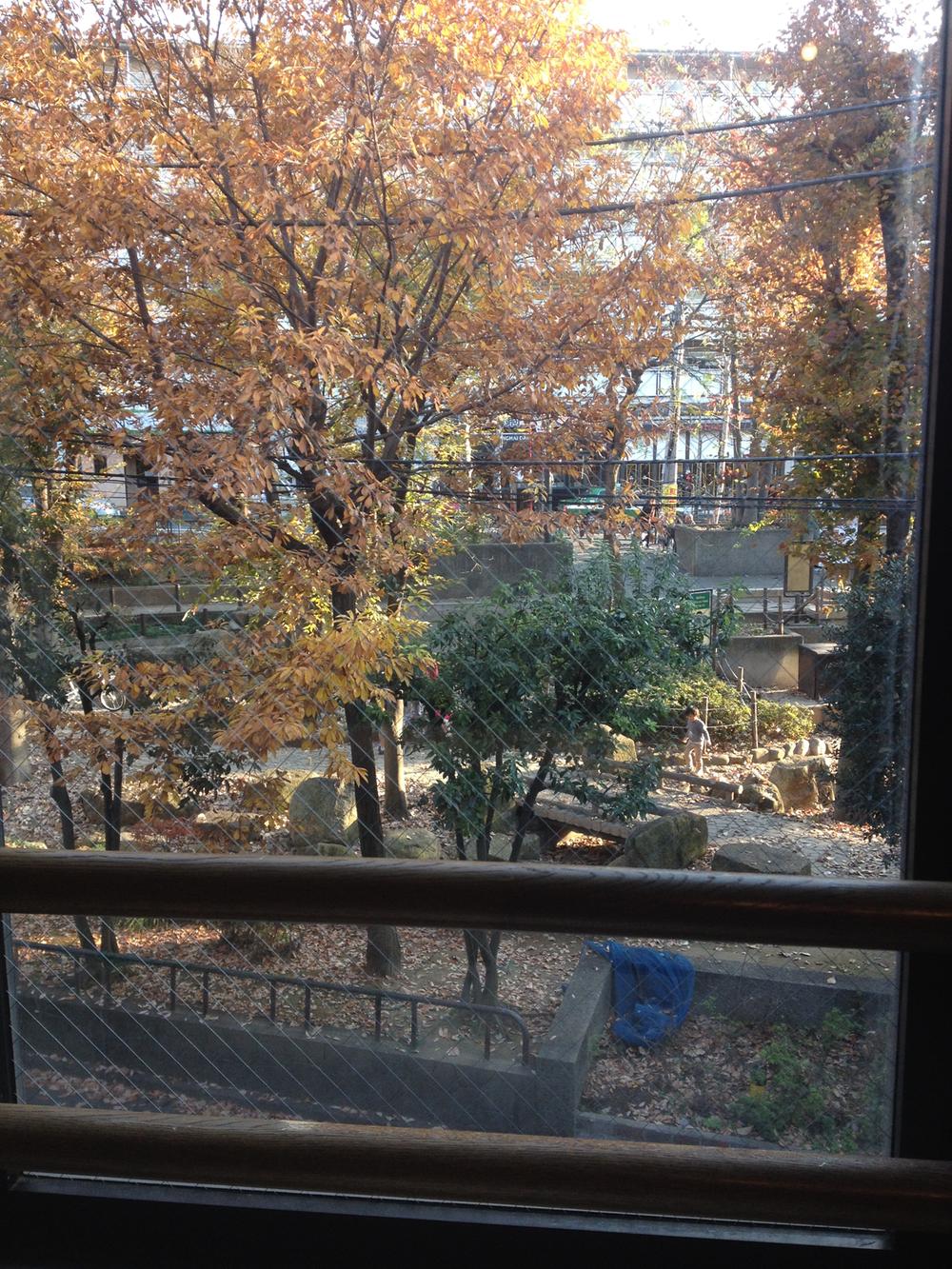 View photos from the dwelling unit. View from the site (December 2013) Shooting
