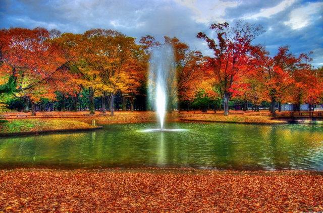 Other. Yoyogi park