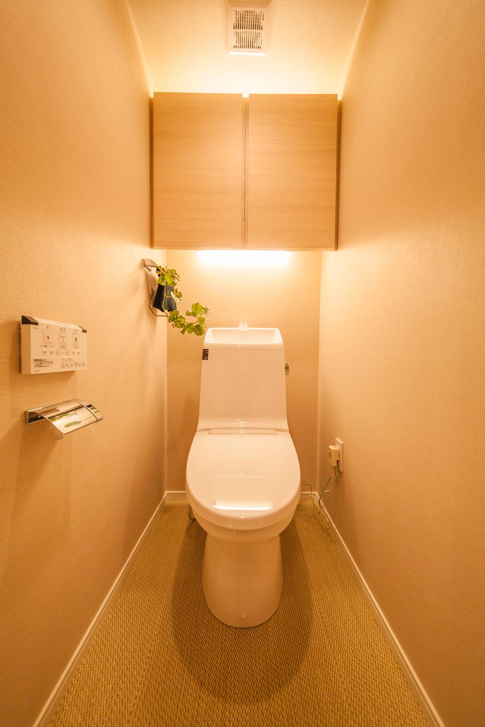 Toilet. Indoor (12 May 2013) Shooting