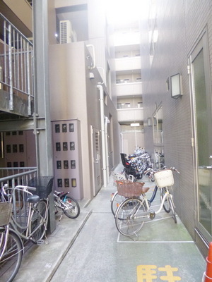 Parking lot. Bicycle-parking space