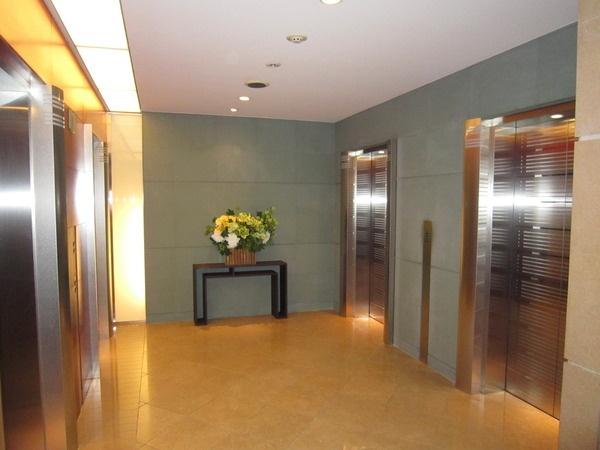 Other common areas. Elevator hall can feel the elegance
