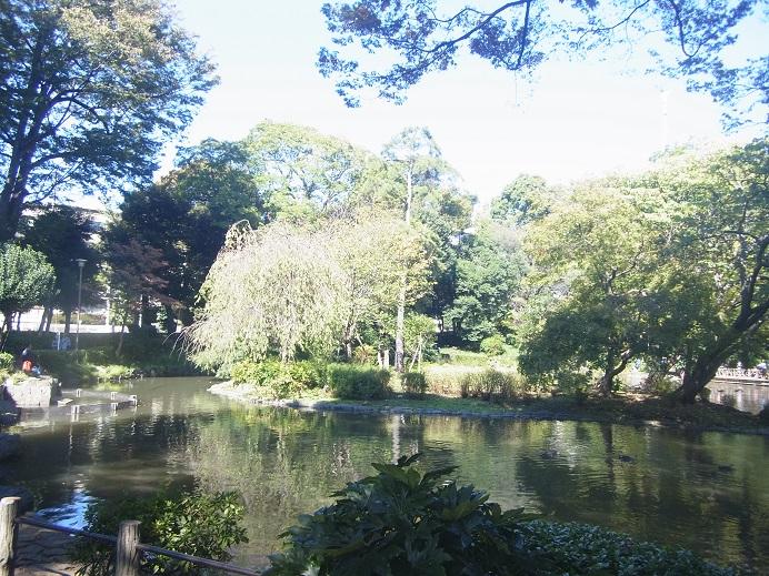 Other. Walk up to Arisugawa park 10 minutes