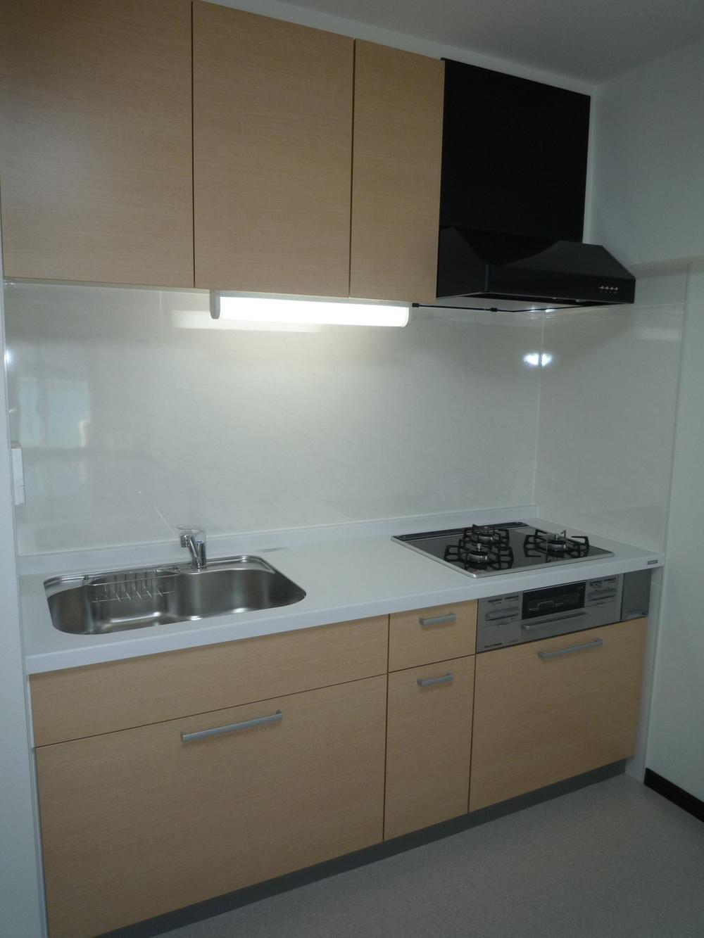 Kitchen. Indoor (11 May 2013) Shooting