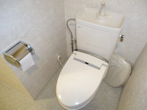 Toilet. Toilet
