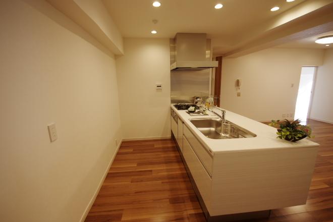 Kitchen. Indoor (12 May 2013) Shooting