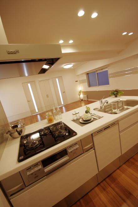 Kitchen. Indoor (12 May 2013) Shooting