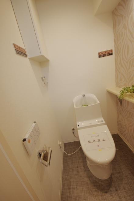 Toilet. Indoor (12 May 2013) Shooting
