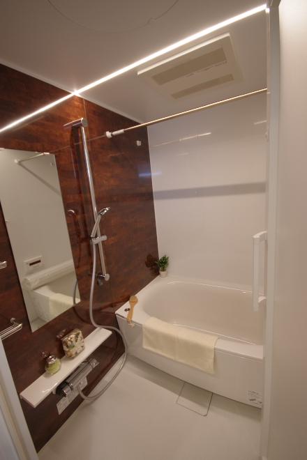 Bathroom. Indoor (12 May 2013) Shooting