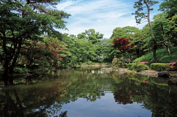 Miya Arisugawa Memorial Park (about 1.4km). Hiroo Station neighborhood with the park is, There is also a fragrant area of educational and prosperous international. The local neighborhood Hiroo kindergarten (about 170m) and started the elementary school (about 230m) Hiroo, small ・ During ~ ・ High ・ Large of various educational facilities equipped