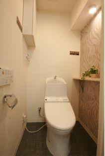Toilet. ~ 11 / 29 interior was completed ~