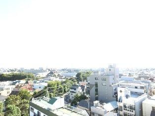 View photos from the dwelling unit. 9 floor view is good.