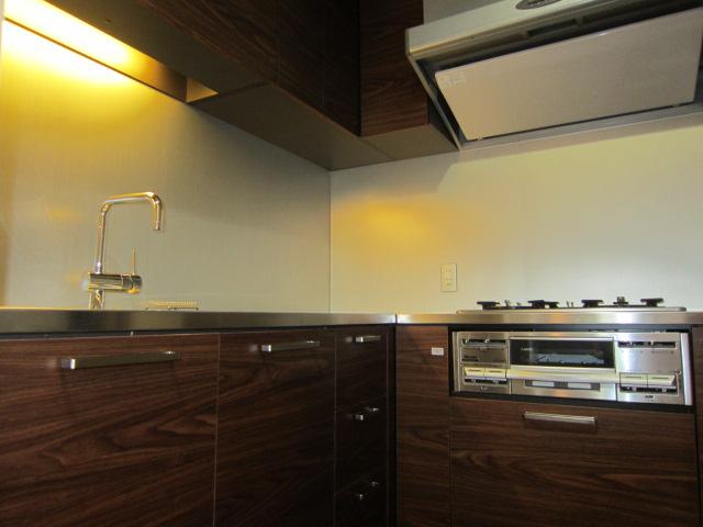 Kitchen. Indoor (10 May 2013) Shooting