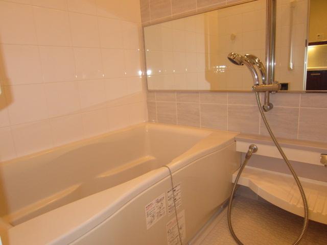 Bathroom. Indoor (10 May 2013) Shooting